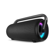 Купить SVEN PS-395, черный, акустическая система (80W, Waterproof (IPx5), TWS, Bluetooth, USB, 4800mA*h) в Алматы