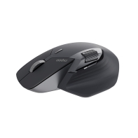 Купить Компьютерная мышь Rapoo MT760L Чёрный Алматы