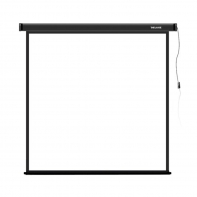 купить Экран моторизированный (с пультом Д/У) Deluxe DLS-E213xW (84"х84"), &Oslash; - 118", 1:1 в Алматы фото 1