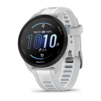 купить Спортивные часы Garmin FORERUNNER 165 Mist Grey/Whitestone (010-02863-21) в Алматы фото 1