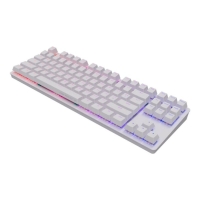 купить Клавиатура Dark Project One KD87A White DPO-KD-87A-100300-GMT в Алматы фото 2
