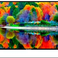 Купить Телевизор Shivaki SYA43LF1600 Smart 4K UHD Алматы
