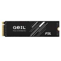 Купить SSD GEIL 256GB P3L M.2 2280 PCIe3.0 NVMe P3LFD16I256G Алматы