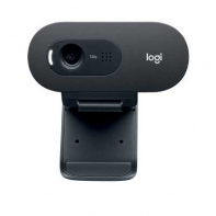 купить Веб-камера Logitech HD WebCam C505e 960-001372 в Алматы фото 1