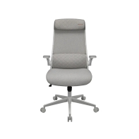 Купить Компьютерное кресло Cougar Stryder White Алматы