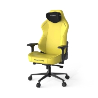 купить Игровое компьютерное кресло DX Racer CRA/PRO/Y в Алматы фото 1