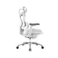 купить Кресло офисное Sihoo C100-B202, регулировка высоты, подлокотник 4D, White в Алматы фото 2
