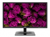 купить Монитор  21.5* Sanc M2288C, 1920x1080 VA (LED), 5ms, 200 cd/m2, 1000:1, D-Sub/HDMI в Алматы фото 2