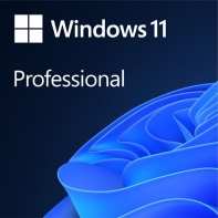 купить Win 11 Pro for Wrkstns 64Bit Russian 1pk DSP OEI DVD в Алматы фото 1