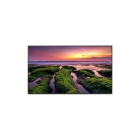 купить Профессиональный дисплей Samsung 65" LH65QBCEBGCXCI в Алматы фото 1