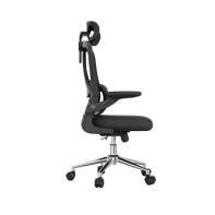 купить Офисное кресло FLEXISPOT OC19B Black <Сетка, Ткань, подлокотник откидной> в Алматы фото 3