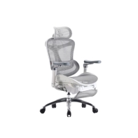 Купить Офисное кресло Sihoo C300-B102-JT белый Алматы