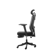 купить Кресло офисное FlexiSpot OC1-B, регулировка высоты, подлокотник 3D, Black в Алматы фото 2