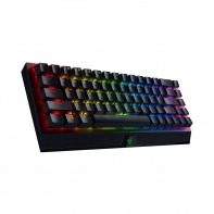 Купить Клавиатура Razer BlackWidow V3 Mini HyperSpeed (Green Switch) Алматы