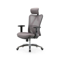 Купить Офисное кресло Sihoo M18-N106 серый в Алматы