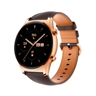 Купить Смарт часы HONOR Watch GS 3 Gold Brown (55027004) Алматы