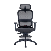 Купить Кресло офисное Sihoo B100-B101-JT, регулировка высоты, подлокотник 3D, 100 кг, Black в Алматы