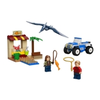 купить Конструктор LEGO Jurassic World Погоня за птеранодоном в Алматы фото 2