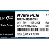 Купить SSD-накопитель Team Group MP33 256Gb, M.2, NVMe 1.3, 1600/1000 MB/s, TM8FP6256G0C101 Алматы