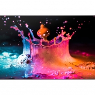 купить Samsung LFD панель UD55E-B 55* 1920 x1080 4000:1 8ms 500 кд/м2 рамка 3,5mm /  в Алматы фото 1