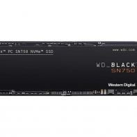 купить Твердотельный накопитель 1000GB SSD WD WDS100T3X0C Серия BLACK SSD Форм-Фактор: M.2 (2280)  в Алматы фото 1