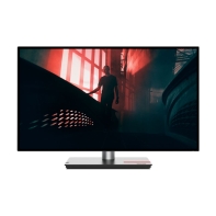 Купить Монитор Lenovo P27q-30 27" HDMI 63A2GAT1EU Алматы