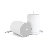 купить Подвесной громкоговоритель CVGaudio SPC5TW в Алматы фото 1