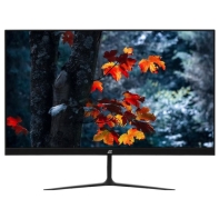 Купить Монитор 2E LCD 23.8* C2420B D-Sub, HDMI, IPS, 178/178 Алматы