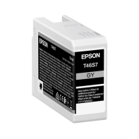Купить Картридж струйный Epson C13T46S700, T46S серый для SC-P700&nbsp; Алматы