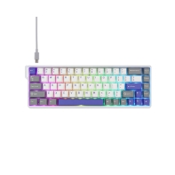 Купить Клавиатура AULA WIN68, Magnetic, Gray Wood switch, 68 keys EN/RU, wired, White-Blue-Purple Алматы