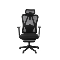 Купить Кресло офисное FlexiSpot OC1-B, регулировка высоты, подлокотник 3D, Black в Алматы