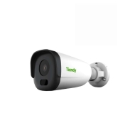 купить Камера-IP&nbsp;Tiandy TC-C32GN в Алматы фото 1