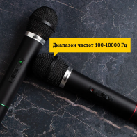 купить Микрофонная система Ritmix RWM-210 в Алматы фото 3