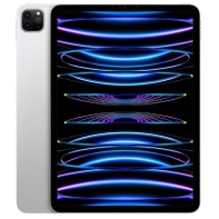 купить Планшет Apple iPad Pro 11" Wi-Fi 2Tb Silver (MNXN3RK/A) в Алматы фото 1