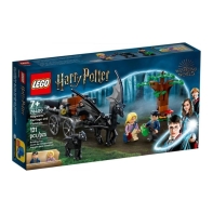 купить Конструктор LEGO Harry Potter Hogwarts Карета и Тестралы в Алматы фото 1