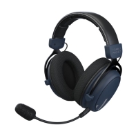 Купить Гарнитура Dark Project Headset HS4 DP-HS-5004 Алматы