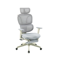 купить Кресло офисное FlexiSpot BS5CG-PRO, регулировка высоты, подлокотник 1D, выдвижная подножка, CloudGry в Алматы фото 2