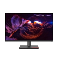Купить Монитор Lenovo P32p-30 31.5" 63D1RAT1EU Алматы
