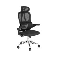 купить Офисное кресло FLEXISPOT OC19B Black <Сетка, Ткань, подлокотник откидной> в Алматы фото 2