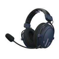 купить Гарнитура Dark Project Headset HS4 DP-HS-5004 в Алматы фото 2