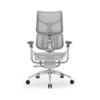 Купить Офисное кресло Sihoo S100 -B103 -JT белый Алматы