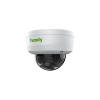 купить Камера-IP Tiandy TC-C32KN в Алматы фото 1
