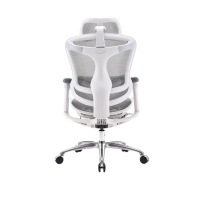 купить Кресло офисное Sihoo C100-B202, регулировка высоты, подлокотник 4D, White в Алматы фото 3