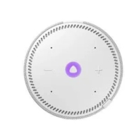 купить Умная Колонка Новая Яндекс.Станция Мини с часами, Серый опал (YNDX-00020 Gray) в Алматы фото 3