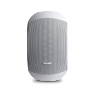 Купить Настенный громкоговоритель Biamp MASK6CT-W Алматы