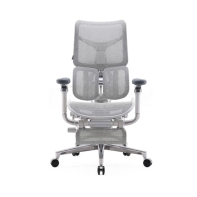 купить Кресло офисное Sihoo S100-B303-JT, регулировка высоты, подлокотник 3D, Grey в Алматы фото 1