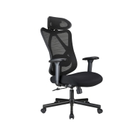 Купить Офисное кресло Eco Estelar Waveon (L) черный в Алматы