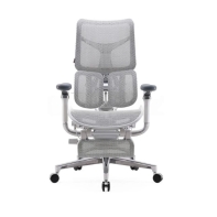 купить Офисное кресло Sihoo S100-B303-JT серый в Алматы фото 1