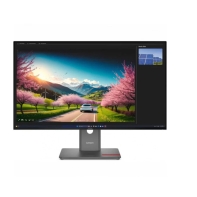 Купить P32UD-40(C25315UP0) 31.5 Monitor-HDMI в Алматы