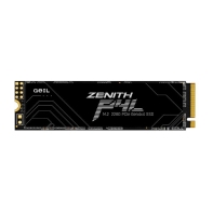 купить SSD GEIL 2000GB P4L M.2 2280 PCIe4.0 NVMe P4LFD23C2TBA в Алматы фото 1